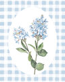 Image Not Available